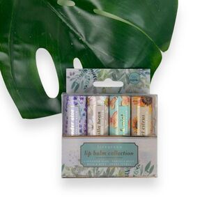 🆕 LiveGreen Hydrating Lip Balm Collection - Set of 4
